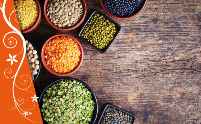 Nadesh_sito_slider_02